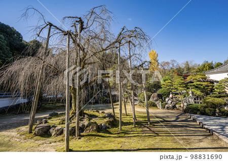 保寿院の境内の景色 98831690