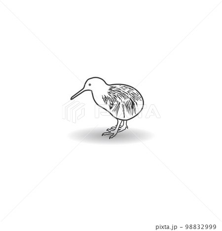 kiwi bird drawing outline