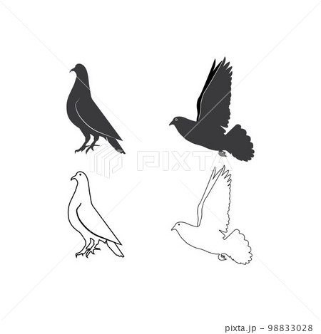 pigeon icon pigeon icon 98833028