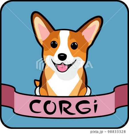 funny corgi