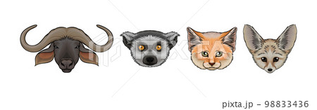 Animal Muzzle Isolated on White Background Vector Set 98833436