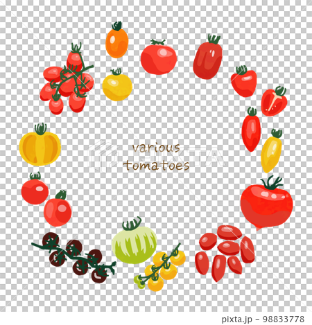 各種可愛西紅柿的矢量圖解 各種可愛西紅柿的矢量圖解 98833778