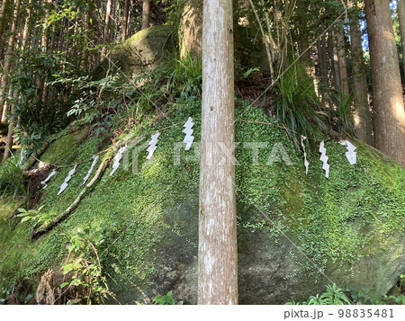 三重県、熊野市の山の中の森にある、御神体の苔むす岩です。 三重県、熊野市の山の中の森にある、御神体の苔むす岩です。 98835481