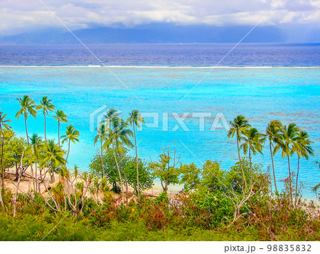 Moorea Tropical paradise, Idyllic turquoise beach in French Polynesia, Tahiti Moorea Tropical paradise, Idyllic turquoise beach in French Polynesia, Tahiti 98835832