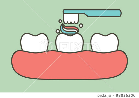 brushing teeth, toothbrush and toothpaste on tooth and gum - dental cartoon vector flat style 98836206