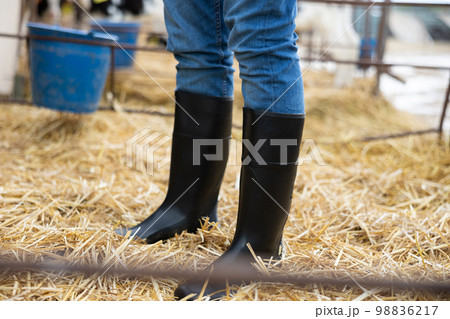 Close up of black rubber boots 98836217