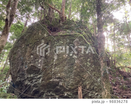 三重県熊野市の山奥にある神社、丹倉神社の御神体である巨大な苔むす岩です。 98836278