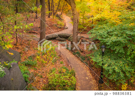 Central park in New York City Manhattan at golden autumn , United States 98836381