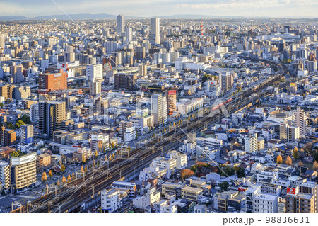 夕日を受ける名古屋市街地を見下ろす 夕日を受ける名古屋市街地を見下ろす 98836631