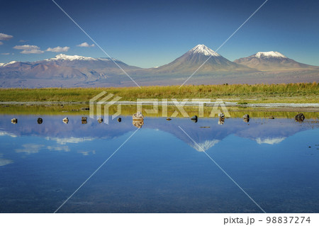 Licancabur with reflection lake and volcanic landscape at Sunset, Atacama, Chile Licancabur with reflection lake and volcanic landscape at Sunset, Atacama, Chile 98837274