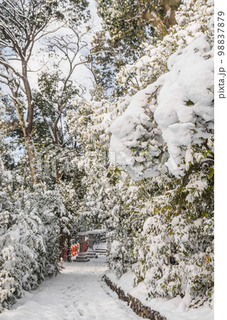 京都船岡山　雪の道風景 98837879