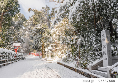 京都船岡山　雪の道風景 98837880