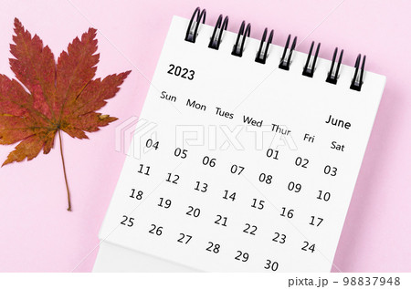 The June 2023 desk calendar for 2023 year with autumn maple leaf on pink color background. The June 2023 desk calendar for 2023 year with autumn maple leaf on pink color background. 98837948