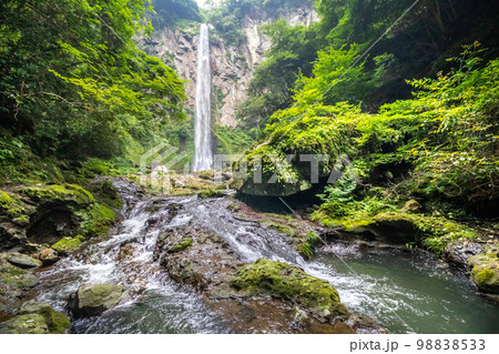 東椎屋の滝 大分県 東椎屋の滝 大分県 98838533