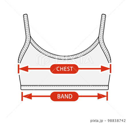 ブラトップ・スポーツブラ 女性用ウェア  サイズ表 (サイズチャート) 用ベクターイラスト  98838742