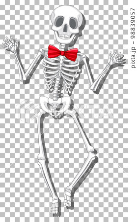 Human skeleton on grid background 98839057