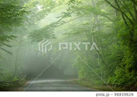 瞰湖台へ向かう途中の霧に包まれた道(青森県十和田湖) 瞰湖台へ向かう途中の霧に包まれた道(青森県十和田湖) 98839626