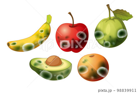 Set of inedible fruit with mould Set of inedible fruit with mould 98839911