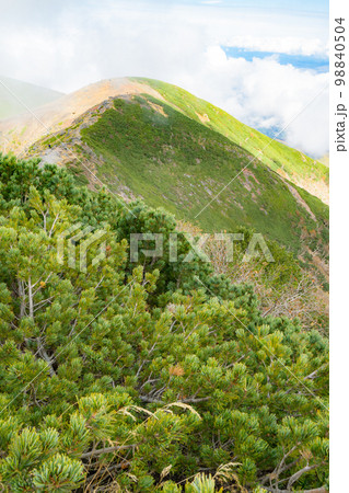 長野県の八ヶ岳登山：横岳の山頂から見る台座の頭 98840504