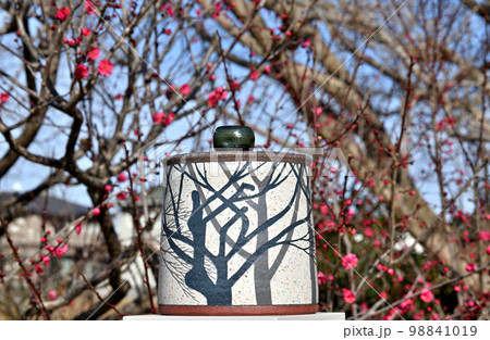 咲き始めの梅の花と水指です。 98841019