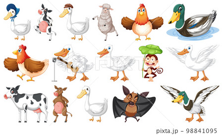 Many farm animals on white background Many farm animals on white background 98841095