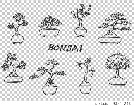 盆栽イラスト（線画） 98841248