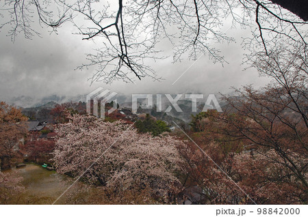 春のイメージ 春霞が立ちこめた吉野山上千本の山桜 春のイメージ 春霞が立ちこめた吉野山上千本の山桜 98842000