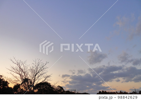 夕焼け空　雲　木 98842629