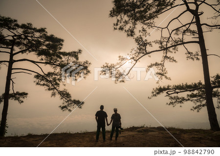 The silhouette of Pine tree and couple on Phu Kradueng national park of Loei province of Thailand. 98842790