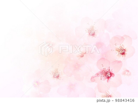 桜の淡い春色の背景 98843416