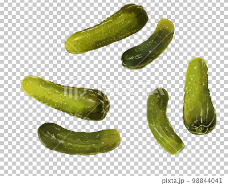 Hand drawn watercolor pickled cucumber illustration set Hand drawn watercolor pickled cucumber illustration set 98844041