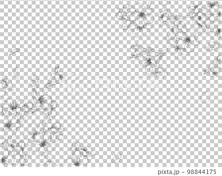 さくら線画のフレーム⑩(黒,ななめ) 98844175