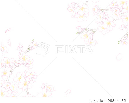 さくら線画のフレーム⑩(カラー,ななめ) さくら線画のフレーム⑩(カラー,ななめ) 98844176