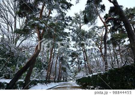雪の丹波亀山城址 98844455