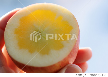 カットした蜜入り青森りんご（こみつ） 98845019