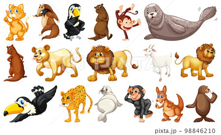 Wild animals on white background 98846210