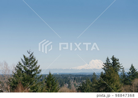 Beautiful landscape with a view of the Rainier volcano from Olympia Beautiful landscape with a view of the Rainier volcano from Olympia 98847368