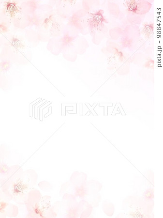 桜の淡い春色の背景 98847543