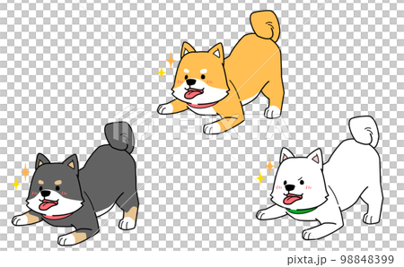 三隻柴犬邀請你一起玩的插圖，眼睛閃閃發亮 98848399