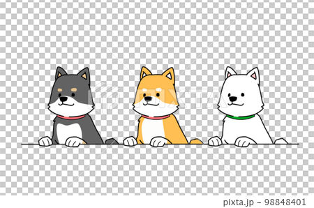 前足を乗せる3匹の柴犬のイラスト 98848401