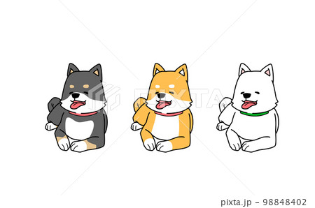笑顔で寝そべる3匹の柴犬のイラスト 98848402