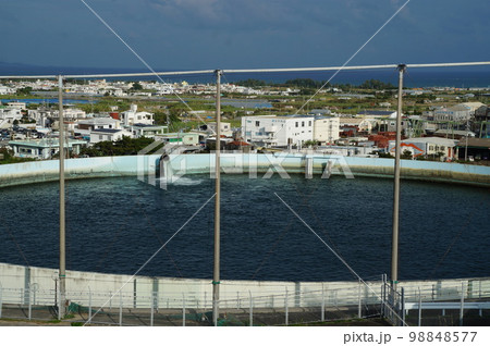 沖縄のため池 98848577