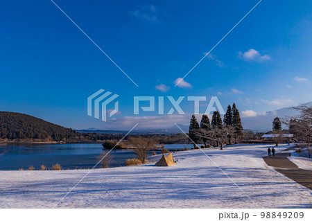 （静岡県）冬の田貫湖湖畔キャンプ場 98849209