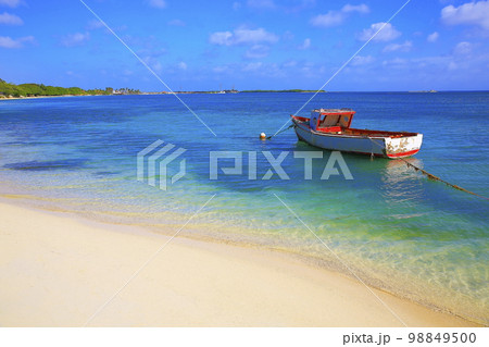 Secluded turquoise beach in Aruba, Caribbean Blue sea, Duth Antilles 98849500