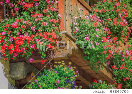 Flowers in rustic balcony at springtime, Interlaken, Switzerland Flowers in rustic balcony at springtime, Interlaken, Switzerland 98849706