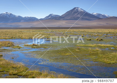 Licancabur with reflection lake and volcanic landscape at Sunset, Atacama, Chile Licancabur with reflection lake and volcanic landscape at Sunset, Atacama, Chile 98849707
