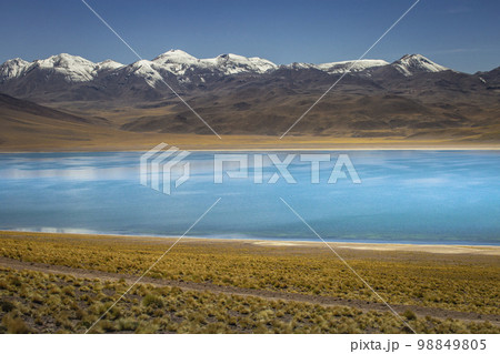 Salt lake, turquoise Laguna Miscanti, volcanic landscape at sunrise, Atacama Salt lake, turquoise Laguna Miscanti, volcanic landscape at sunrise, Atacama 98849805