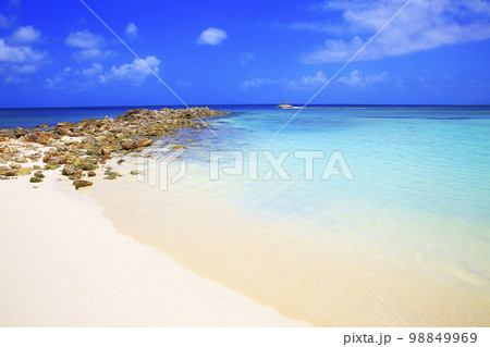 Secluded turquoise beach in Aruba, Caribbean Blue sea, Duth Antilles Secluded turquoise beach in Aruba, Caribbean Blue sea, Duth Antilles 98849969