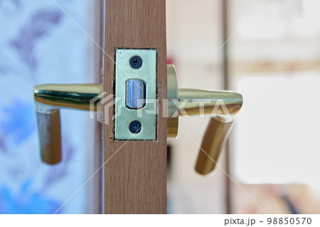 Lever door handle with latch is installed on an interior wooden door. 98850570