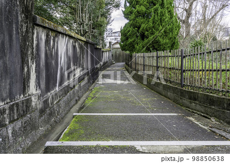 倉敷美観地区　阿智神社　参道　岡山県倉敷市 98850638